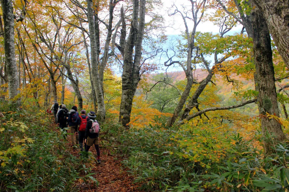 Discovering Eden: Trekking through the Enchanted Andaman Islands